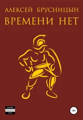 Алексей Брусницын - Времени нет