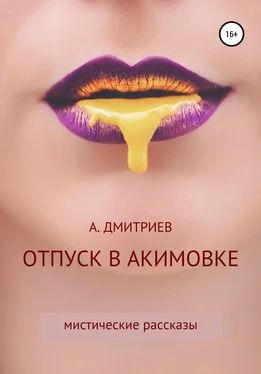 Алексей Дмитриев Отпуск в Акимовке обложка книги