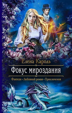 Елена Кароль Фокус мироздания обложка книги