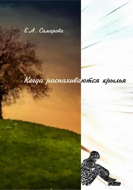Екатерина Самарова Когда распахиваются крылья обложка книги