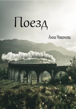 Анна Никонова Поезд обложка книги