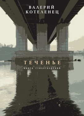 Валерий Котеленец Теченье. Книга стихотворений обложка книги