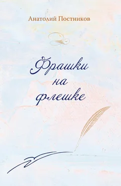 Анатолий Постников Фрашки на флешке обложка книги