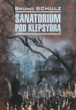 Bruno Schulz Санаторий под клепсидрой / Sanatorium pod klepsydrą обложка книги
