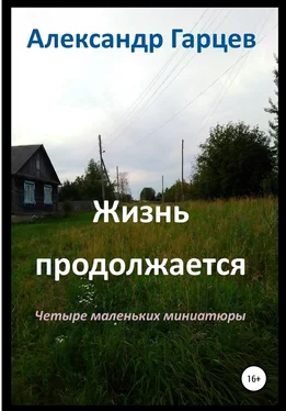 Александр Гарцев Жизнь продолжается обложка книги