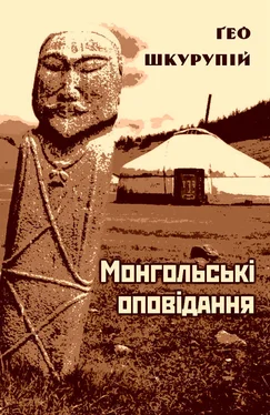 Ґео Шкурупій Як задумано обложка книги