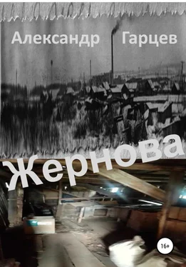 Александр Гарцев Жернова обложка книги