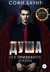 Софи Баунт - Душа без признаков жизни