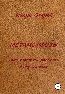 Игорь Озеров Метаморфозы. Три коротких рассказа о неудачниках обложка книги