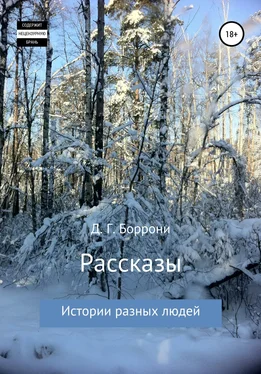 Дмитрий Боррони Рассказы: истории разных людей обложка книги