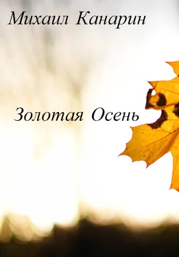 Михаил Канарин Золотая Осень обложка книги