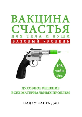 Садху-санга дас Вакцина счастья для тела и души. Базовый уровень обложка книги