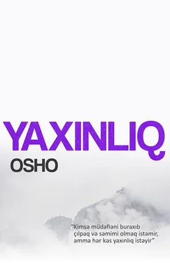 Oşo Yaxınlıq обложка книги