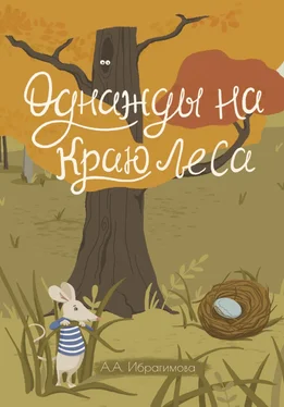 Анна Ибрагимова Однажды на краю леса обложка книги
