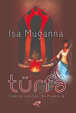 Muğanna İsa Türfə обложка книги