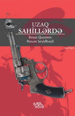 İmran Qasımov Uzaq sahillərdə обложка книги