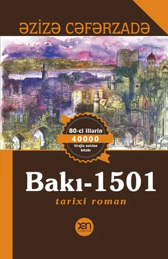 Cəfərzadə Əzizə Bakı-1501 обложка книги