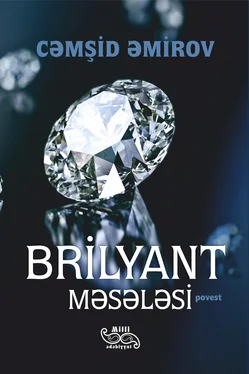 Cəmşid Əmirov Brilyant məsələsi обложка книги