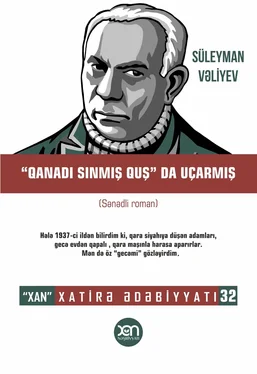 Süleyman Vəliyev Qanadı sınmış quş da uçarmış обложка книги