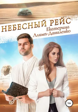 Екатерина Алимп-Даниленко Небесный рейс обложка книги