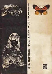 Джеральд Даррелл - Три билета до Эдвенчер