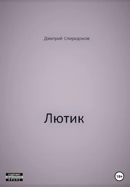 Дмитрий Спиридонов Лютик обложка книги