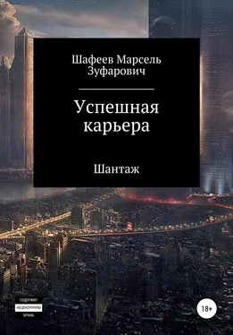 Марсель Шафеев Успешная карьера обложка книги
