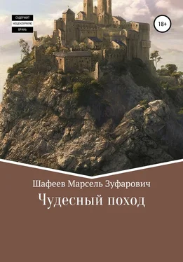 Марсель Шафеев Чудесный поход обложка книги