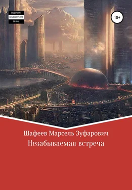 Марсель Шафеев Незабываемая встреча обложка книги