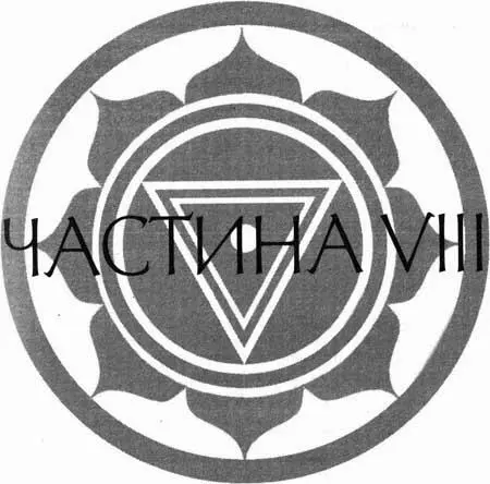Розділ 46 Я не приєднався до Карли Навіна і Дідьє та їхнього Бюро втраченого - фото 10