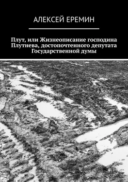 Алексей Еремин Плут, или Жизнеописание господина Плутнева, достопочтенного депутата Государственной думы обложка книги