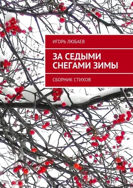 Игорь Любаев За седыми снегами зимы. Сборник стихов обложка книги