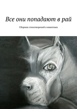 Галина Шляхова Все они попадают в рай. Сборник стихотворений о животных обложка книги