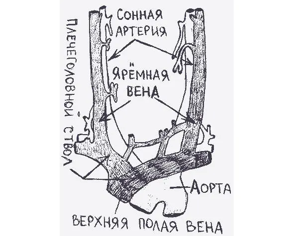 рисунок 56б рисунок 56в На рисунке 12 показан еще один пример атаки виска в - фото 132