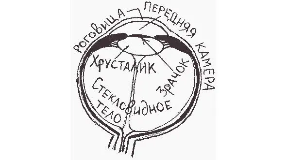 рисунок 15 рисунок 16а рисунок 16б - фото 27