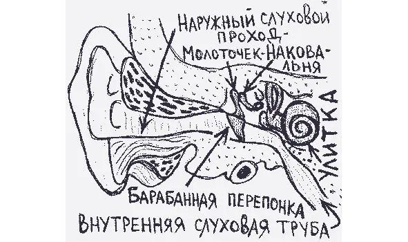 рисунок 21б рисунок 22а рисунок 22б - фото 42