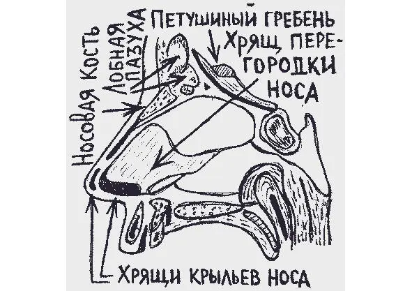 рисунок 26 рисунок 27 рисунок 28а - фото 50