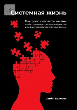 Семён Колосов Системная жизнь. Как организовать жизнь, чтобы справиться с неопределённостью и добиваться результата без выгорания обложка книги