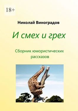 Николай Виноградов И смех и грех обложка книги