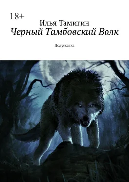 Илья Тамигин Черный Тамбовский Волк. Полусказка обложка книги