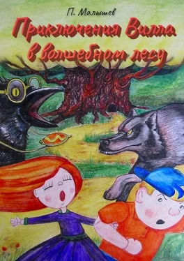 Павел Малышев Приключения Вилла в волшебном лесу обложка книги