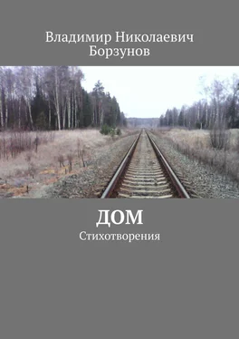 Владимир Борзунов Дом. Стихотворения обложка книги