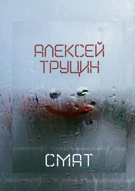 Алексей Труцин Смат обложка книги