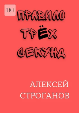 Алексей Строганов Правило трёх секунд обложка книги
