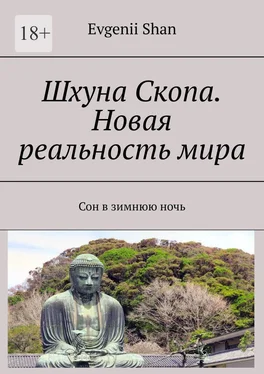 Evgenii Shan Шхуна Скопа. Новая реальность мира. Сон в зимнюю ночь обложка книги