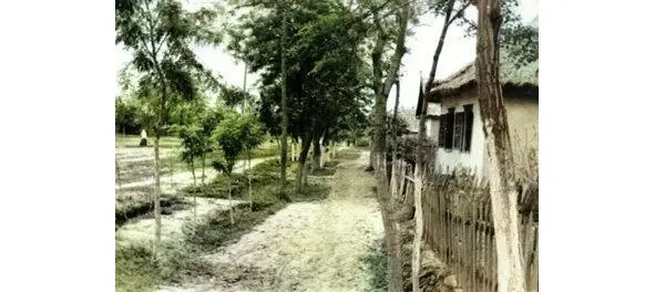 Фото сохранилось в альбоме Головановых Улица Степная 1957 год Вот попалась - фото 24