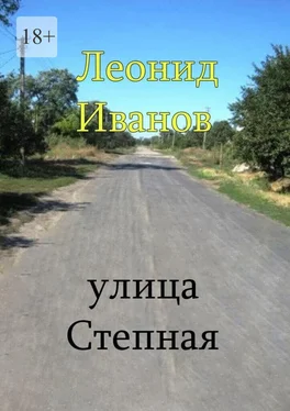 Леонид Иванов Улица Степная. Интересные вехи из жизни своих односельчан обложка книги