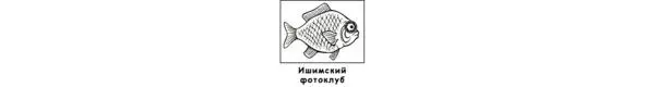 Ишимский фотоклуб объединение любителей фотографии под руководством опытного - фото 40