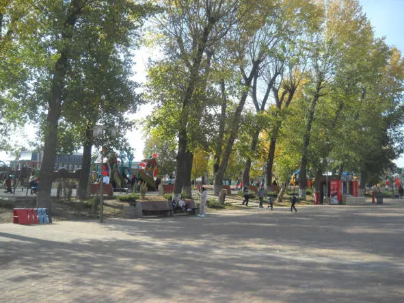 ГЛАВА 2 Повезло У Олега был друг Серёга которого он знал много лет с самого - фото 1
