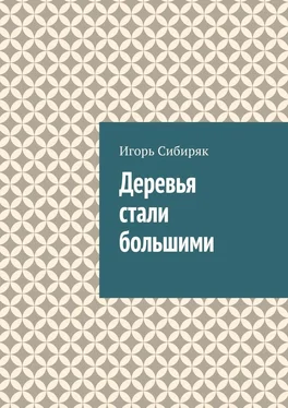 Игорь Сибиряк Деревья стали большими обложка книги